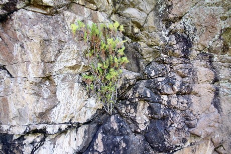 meran-trauttmansdorff