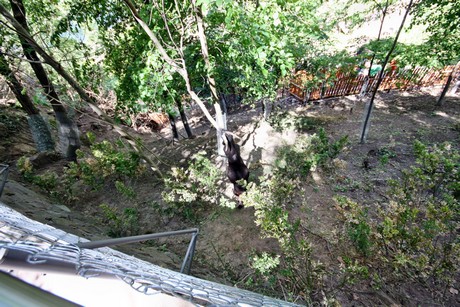 meran-trauttmansdorff