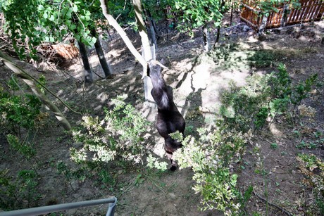 meran-trauttmansdorff