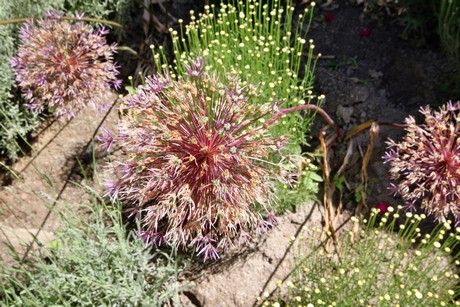 meran-trauttmansdorff