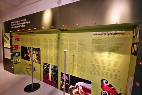 meran-trauttmansdorff