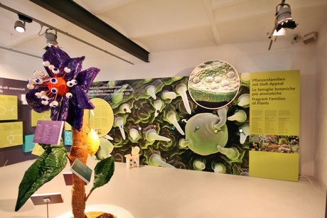 meran-trauttmansdorff