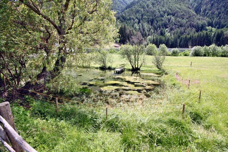 mittewald
