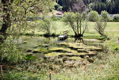 mittewald