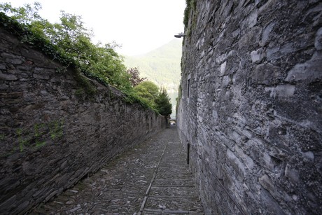 moltrasio