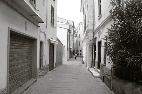 moneglia