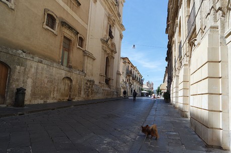 noto