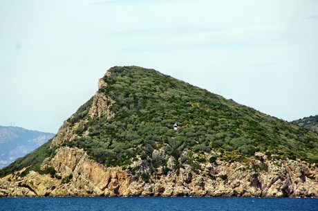 olbia