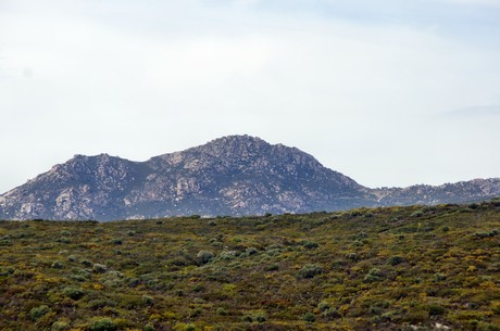 olbia