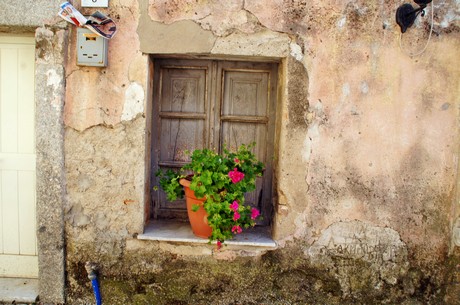 olbia