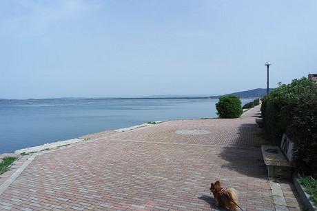 orbetello