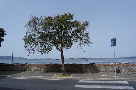 orbetello