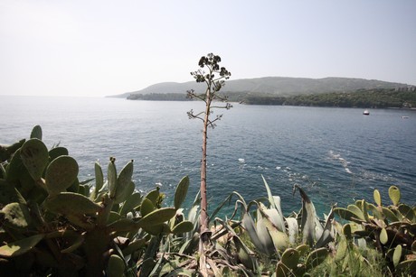 porto-azzurro