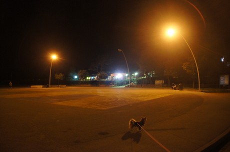 porto-santa-margherita