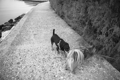 porto-santa-margherita