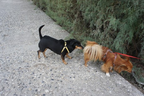 porto-santa-margherita