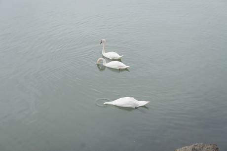 porto-santa-margherita