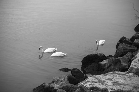 porto-santa-margherita