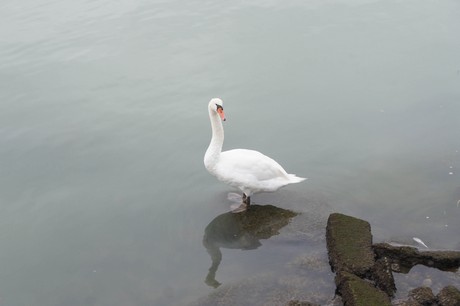 porto-santa-margherita