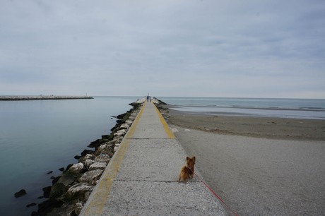 porto-santa-margherita
