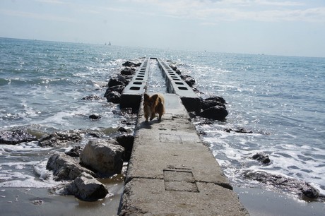 porto-santa-margherita