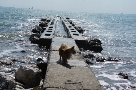 porto-santa-margherita