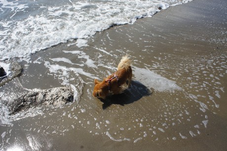 porto-santa-margherita