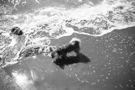 porto-santa-margherita