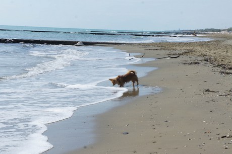 porto-santa-margherita