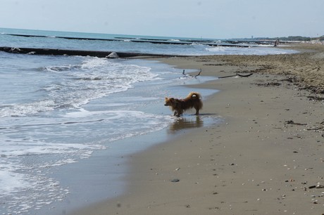 porto-santa-margherita
