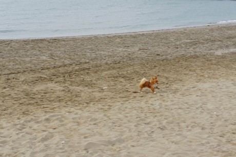 porto-santa-margherita