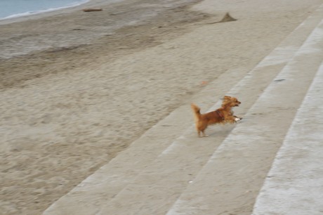 porto-santa-margherita