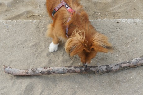 porto-santa-margherita