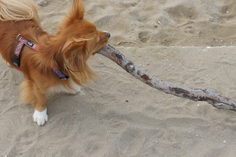 porto-santa-margherita