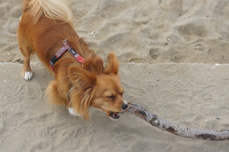 porto-santa-margherita