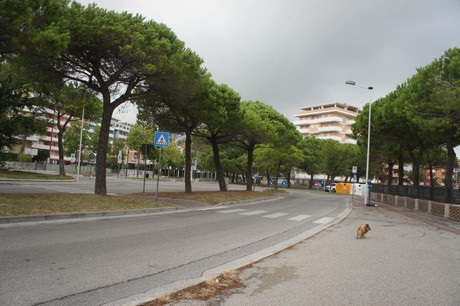 porto-santa-margherita