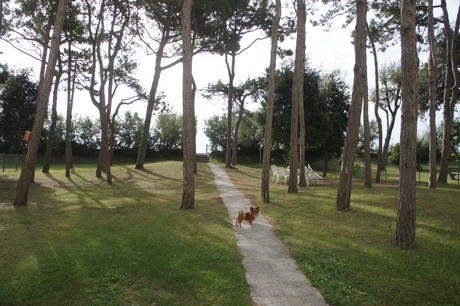 porto-santa-margherita