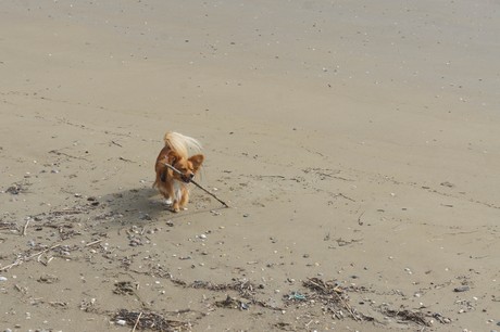 porto-santa-margherita