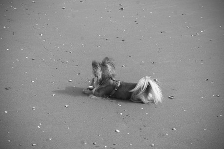 porto-santa-margherita