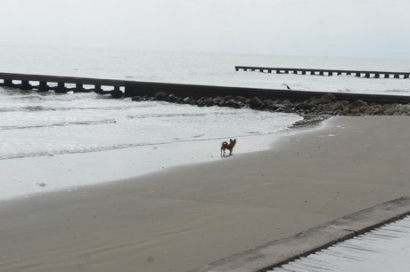 porto-santa-margherita