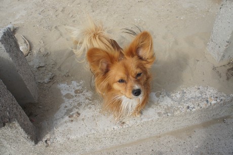 porto-santa-margherita