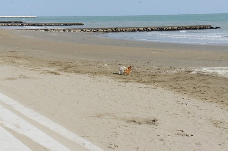 porto-santa-margherita