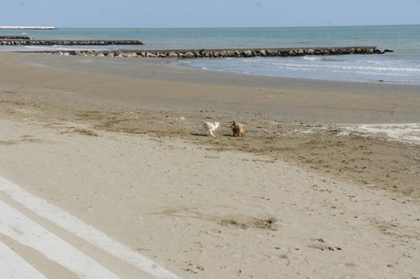 porto-santa-margherita