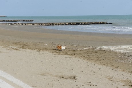 porto-santa-margherita