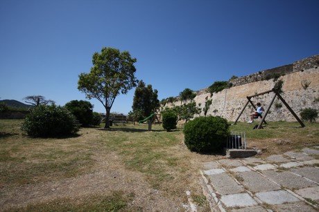 forte-forte-falcone