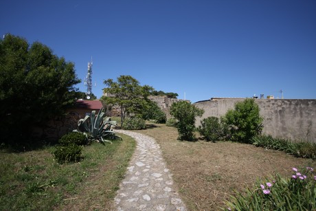 forte-forte-falcone