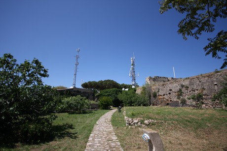 forte-forte-falcone