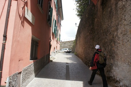 sarzana
