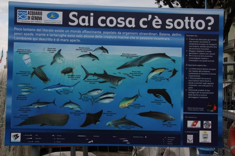 santa-margherita-ligure