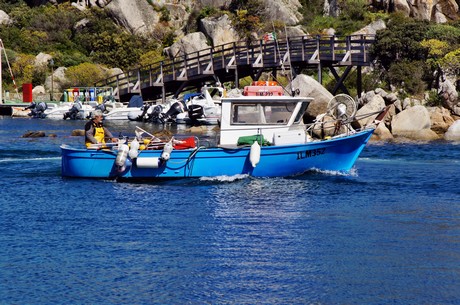 santa-teresa-di-gallura